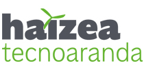 Haizea Tecno Aranda